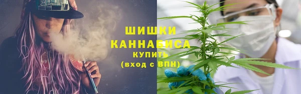гидра Белоозёрский
