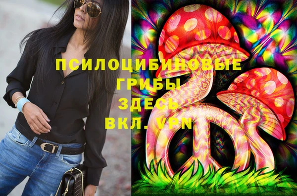 PSILOCYBIN Беломорск