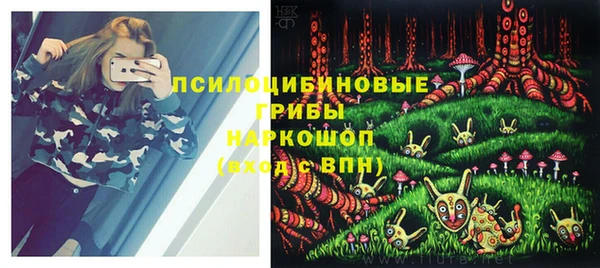 гидра Белоозёрский