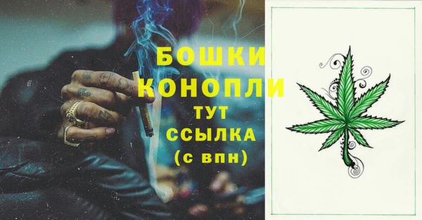 PSILOCYBIN Беломорск