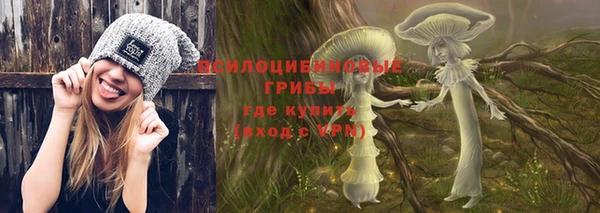 гидра Белоозёрский