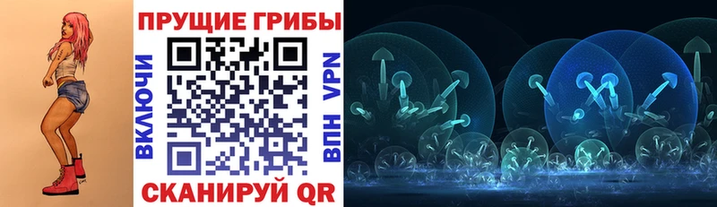 МЕГА   Невельск  Псилоцибиновые грибы Magic Shrooms 