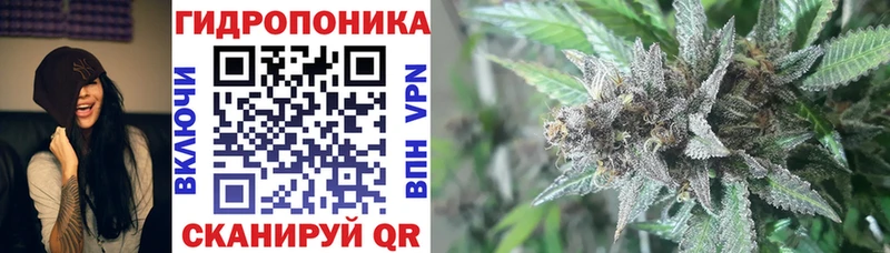 mega онион  Невельск  Бошки Шишки OG Kush 